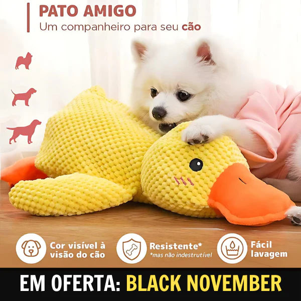 Brinquedo Interativo Pato Amigo